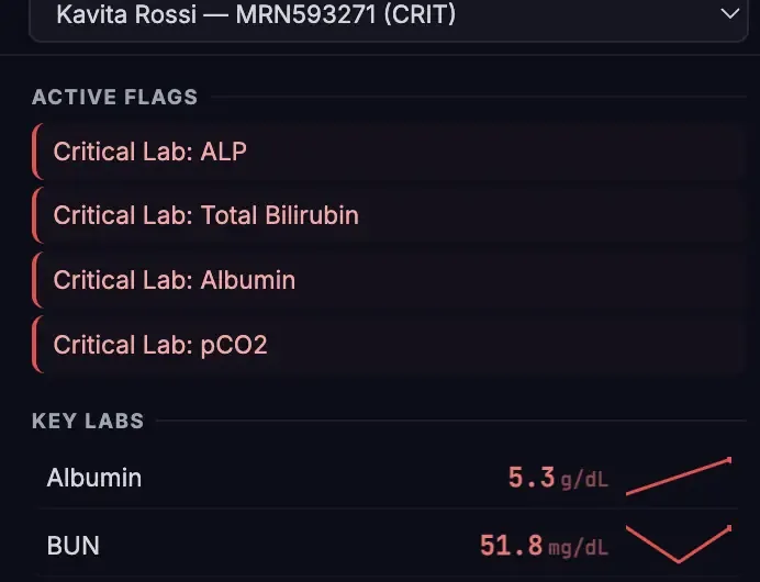 Active flags ranked by severity with key lab trends