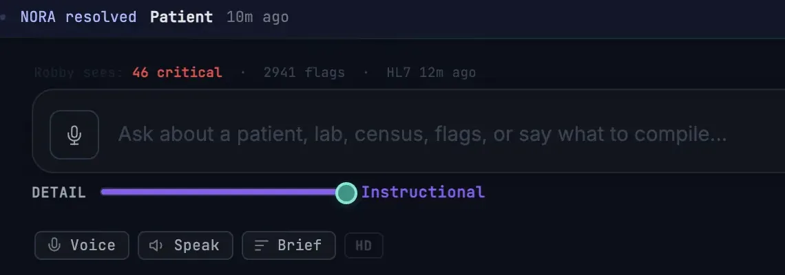 Continuous watch — resolved flag banner and voice console